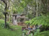 66 Rowsells Road, Korora, NSW 2450-Image