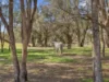 662 Tarnook Road, Tarnook, Vic 3670-Image