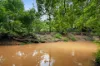 665 Brush Creek Road, Cedar Brush Creek, NSW 2259-Image