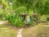 665 Left Bank Road, Mullumbimby Creek, NSW 2482-Image