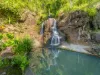 665 Left Bank Road, Mullumbimby Creek, NSW 2482-Image