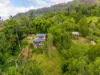 665 Left Bank Road, Mullumbimby Creek, NSW 2482-Image