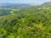 665 Left Bank Road, Mullumbimby Creek, NSW 2482-Image