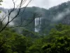 665 Left Bank Road, Mullumbimby Creek, NSW 2482-Image