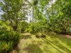 665 Left Bank Road, Mullumbimby Creek, NSW 2482-Image