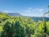 665 Left Bank Road, Mullumbimby Creek, NSW 2482-Image
