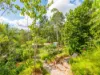 665 Left Bank Road, Mullumbimby Creek, NSW 2482-Image