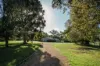 67 Bittern-Dromana Road, Balnarring, Vic 3926-Image