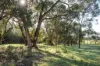 67 Bittern-Dromana Road, Balnarring, Vic 3926-Image