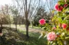 67 Bittern-Dromana Road, Balnarring, Vic 3926-Image