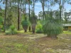 67 Iluka Circuit, Taree, NSW 2430-Image