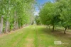 67 Lockville Road, Wonnerup, WA 6280-Image