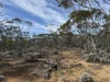 673 Bedrock Road, Fisher, SA 5354-Image