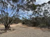 673 Bedrock Road, Fisher, SA 5354-Image