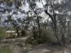 673 Bedrock Road, Fisher, SA 5354-Image