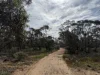 673 Bedrock Road, Fisher, SA 5354-Image