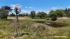 674 Glenelg Highway, Casterton, Vic 3311-Image