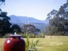 675 Cradle Mountain Road, Erriba, Tas 7310-Image
