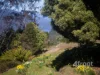 675 Cradle Mountain Road, Erriba, Tas 7310-Image
