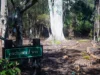 675 Cradle Mountain Road, Erriba, Tas 7310-Image