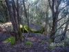 675 Cradle Mountain Road, Erriba, Tas 7310-Image