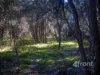 675 Cradle Mountain Road, Erriba, Tas 7310-Image