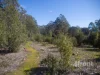 675 Cradle Mountain Road, Erriba, Tas 7310-Image