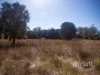 675 Cradle Mountain Road, Erriba, Tas 7310-Image