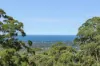 675 The Ridgeway, Tumbi Umbi, NSW 2261-Image