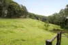 675 The Ridgeway, Tumbi Umbi, NSW 2261-Image