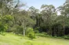 675 The Ridgeway, Tumbi Umbi, NSW 2261-Image