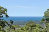 675 The Ridgeway, Tumbi Umbi, NSW 2261-Image