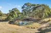 68 Cullya Road, Orange, NSW 2800-Image