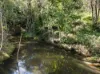 68 Kindra Avenue, Karana Downs, Qld 4306-Image