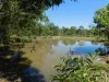 68 W Dugdell Road, Nanango, Qld 4615-Image