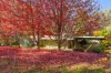 684 Tames Road, Strathbogie, Vic 3666