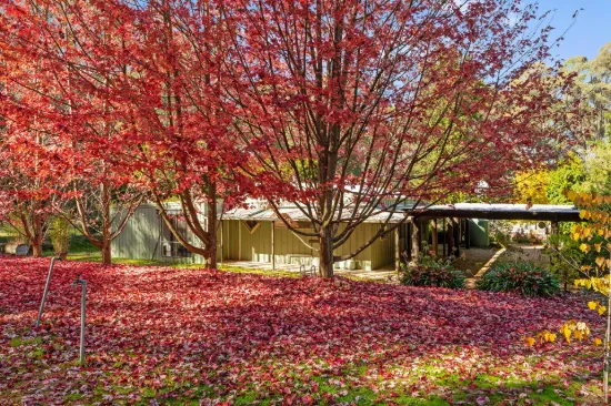 684 Tames Road, Strathbogie, Vic 3666