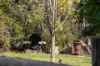 684 Tames Road, Strathbogie, Vic 3666-Image