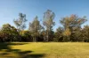 686 Hawkesbury Road, Anstead, Qld 4070-Image