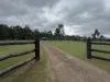 69 Brocklehurst Road, Kingaroy, Qld 4610-Image