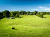 69 Gordonville Road, Gleniffer, NSW 2454-Image