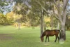 69 Merricks Road, Merricks North, Vic 3926-Image