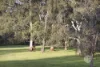 69 Merricks Road, Merricks North, Vic 3926-Image