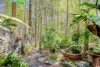 698 CAWONGLA ROAD, Larnook, NSW 2480-Image