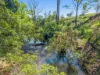 698 CAWONGLA ROAD, Larnook, NSW 2480-Image