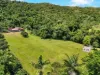 69863 Bruce Highway, Aloomba, Qld 4871-Image