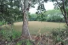 699 Caboolture River Road, Upper Caboolture, Qld 4510-Image