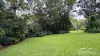 7 Chappell Close, Malanda, Qld 4885-Image