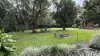 7 Chappell Close, Malanda, Qld 4885-Image