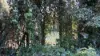 7 Chappell Close, Malanda, Qld 4885-Image